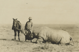 President-Theodore-Roosevelt-and-a-White-Rhino